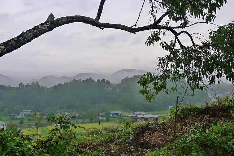 a0130586_8788.jpg