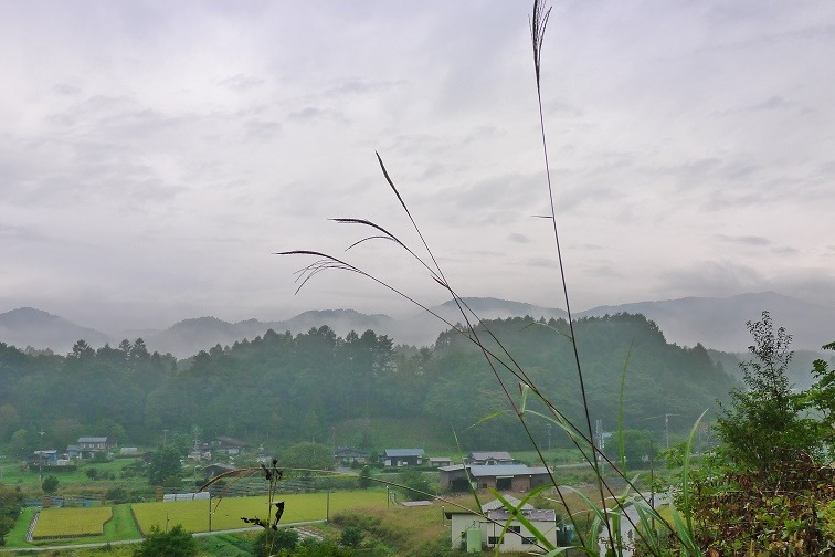 a0130586_88293.jpg