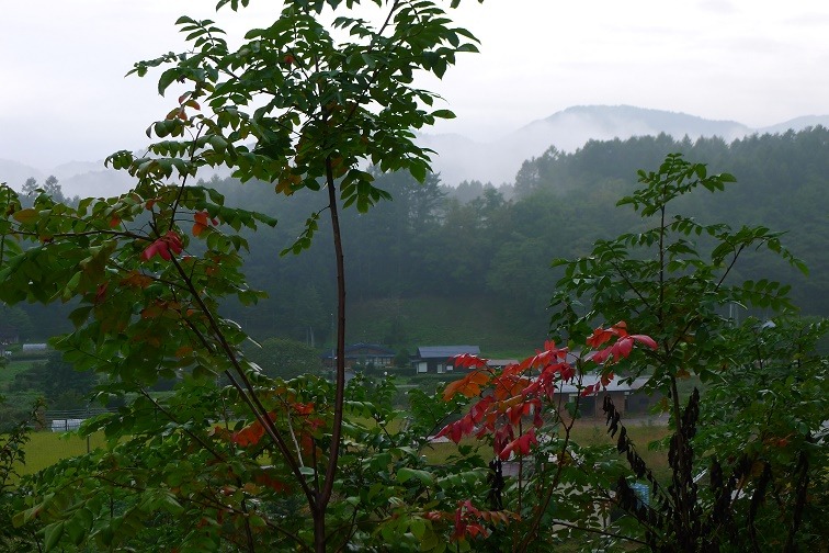 a0130586_89153.jpg
