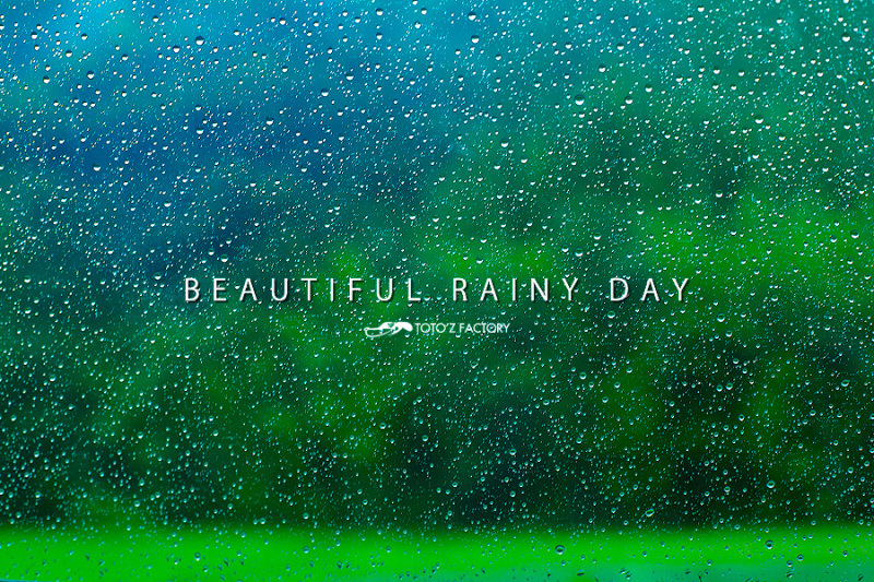 BEAUTIFUL RAINY DAY_a0034287_20202914.jpg