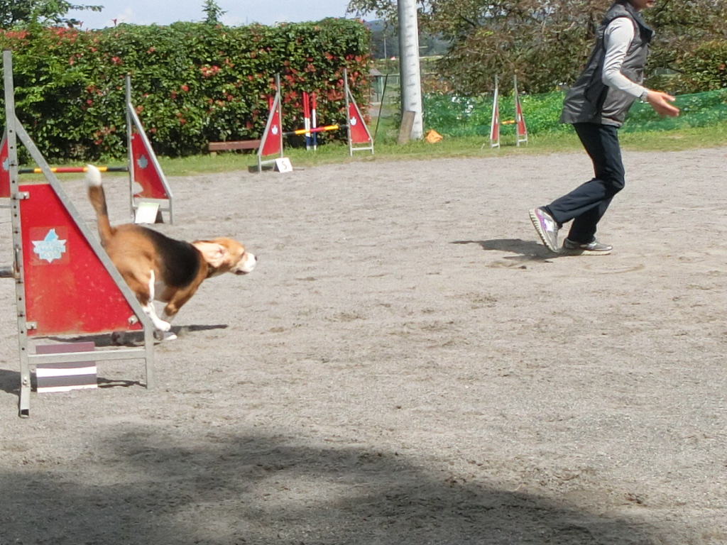a0319693_825337.jpg