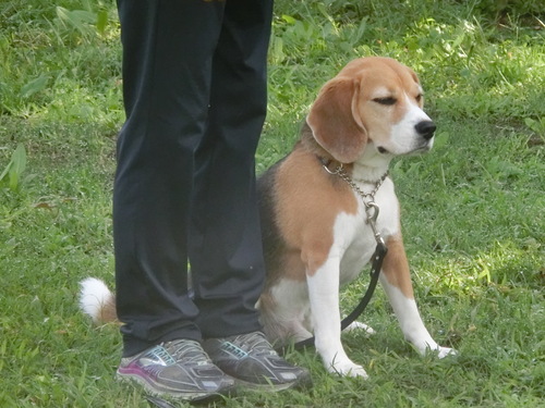 a0319693_8282991.jpg