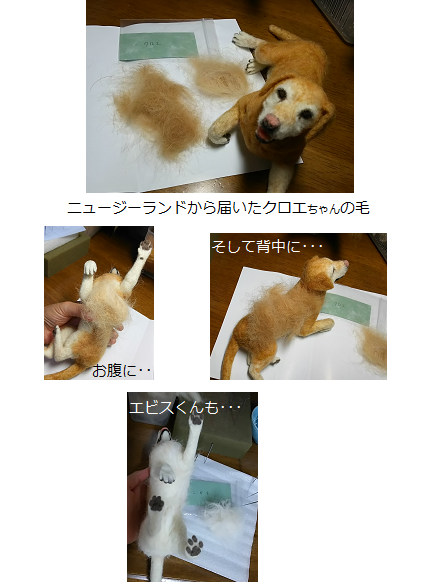 d0282395_1555918.png