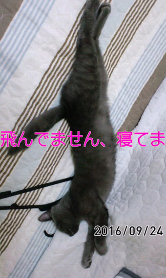 d0071596_00374321.jpg