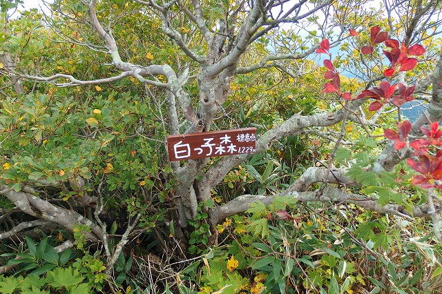 e0137200_22251399.jpg