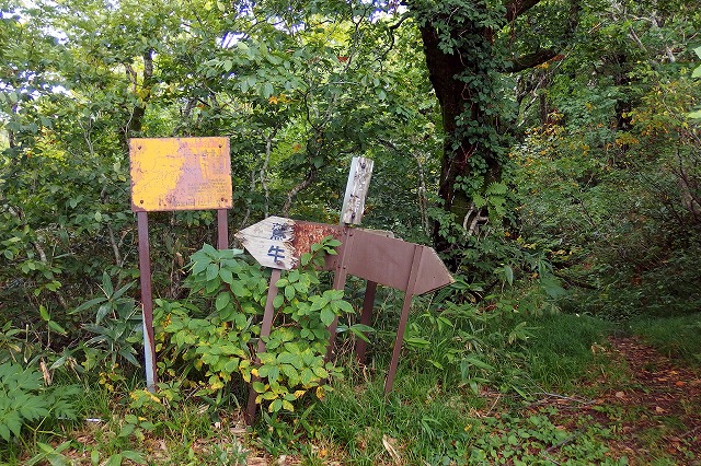 e0137200_22273177.jpg
