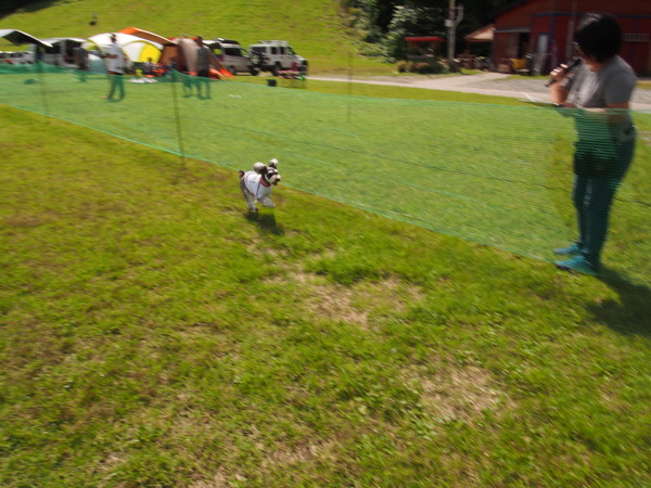 d0293002_9451469.jpg