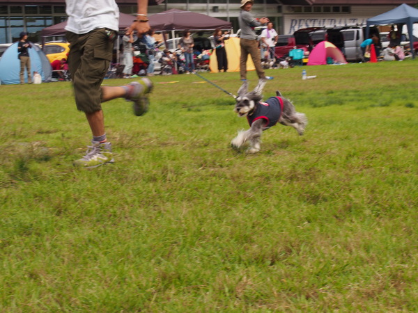 d0293002_9492514.jpg