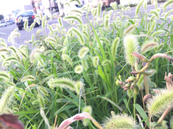 c0144703_07350175.jpg