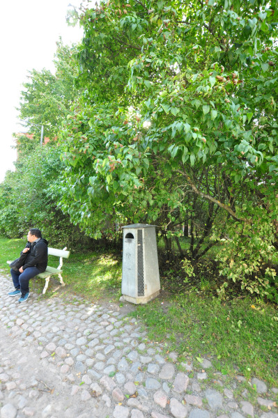 f0188408_1052356.jpg