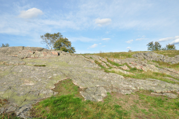 f0188408_1145145.jpg