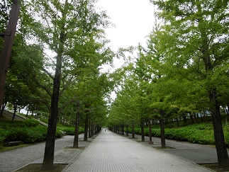 b0146611_18121063.jpg