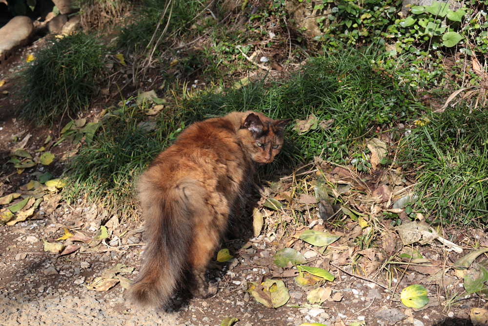 d0011713_822780.jpg