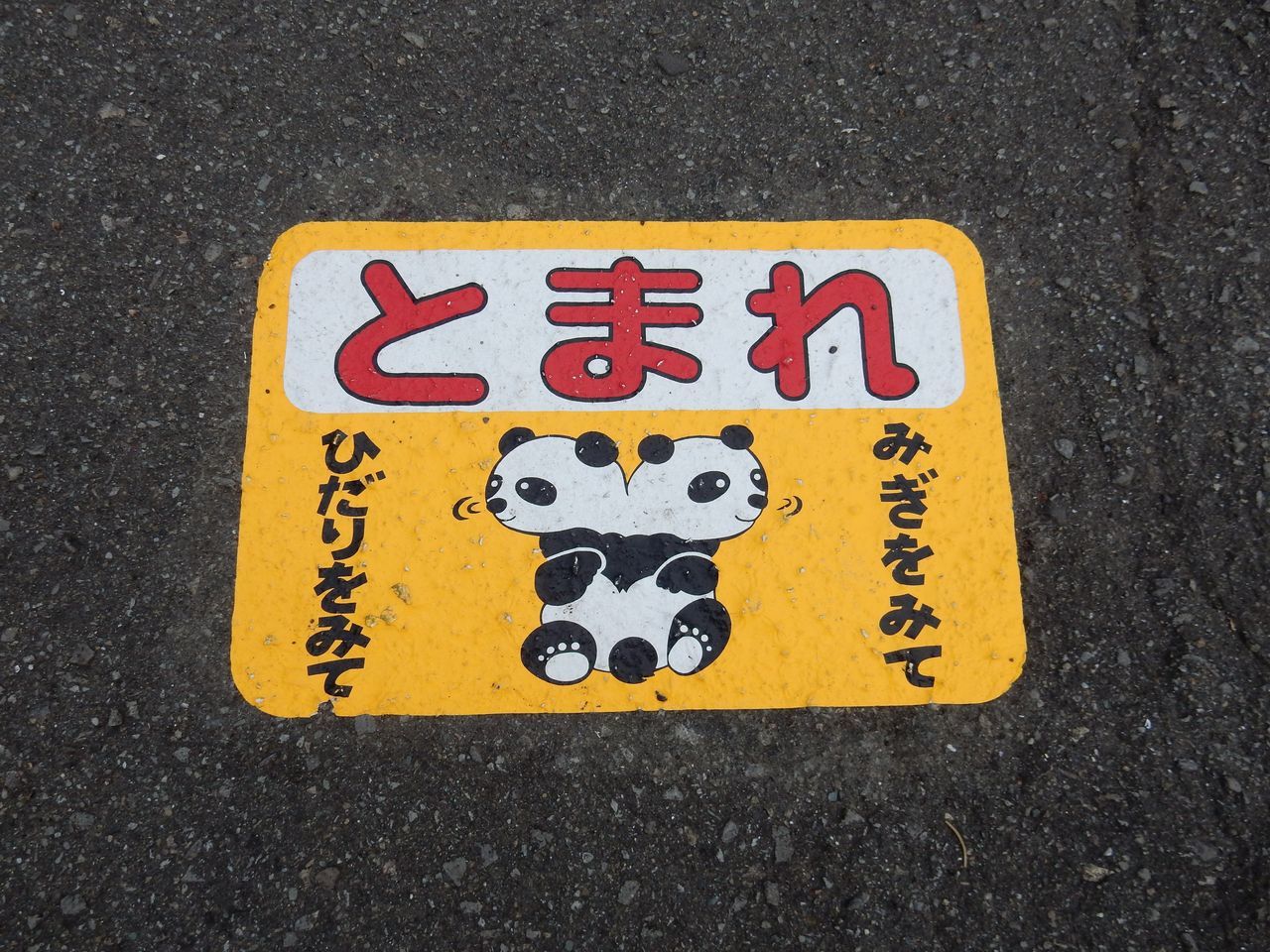 毒キノコでもキノコは秋の使者_c0025115_21491107.jpg
