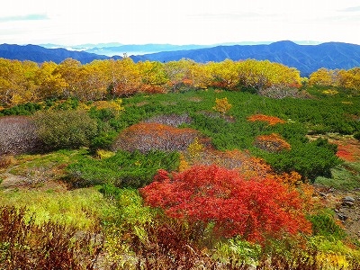 乗鞍岳、紅葉情報～！！（その③）_a0353718_1273548.jpg