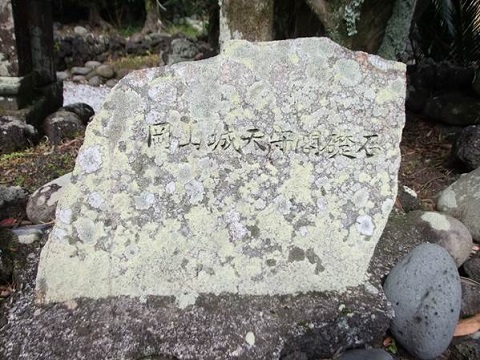 f0000521_5371037.jpg