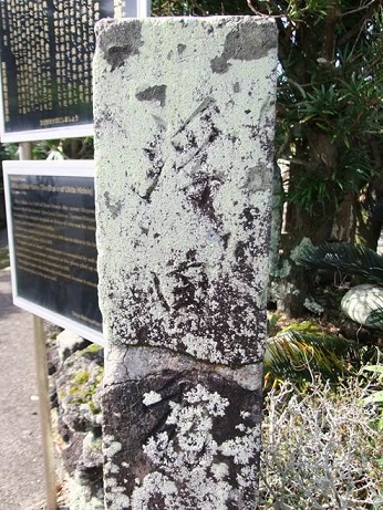 f0000521_5402254.jpg
