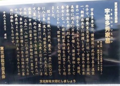 f0000521_541185.jpg
