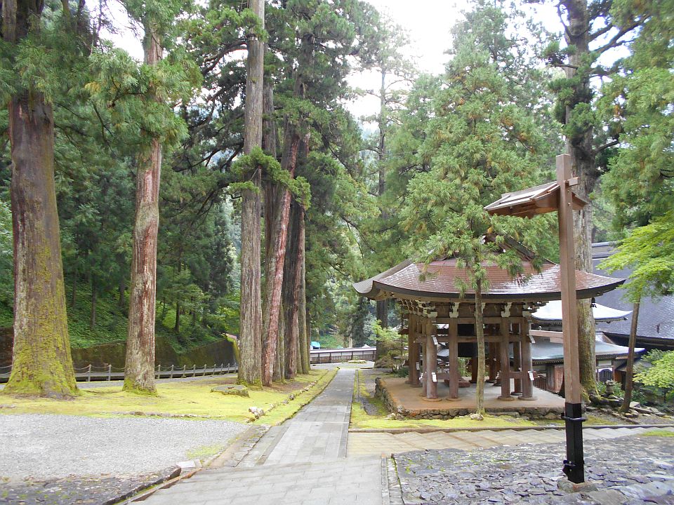 f0157823_20124651.jpg