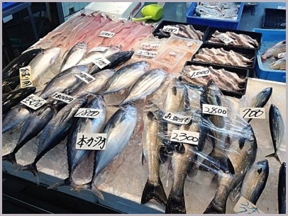 釣りの寄り道、泉佐野 青空市場とイルカ食堂_d0017632_19092711.jpeg