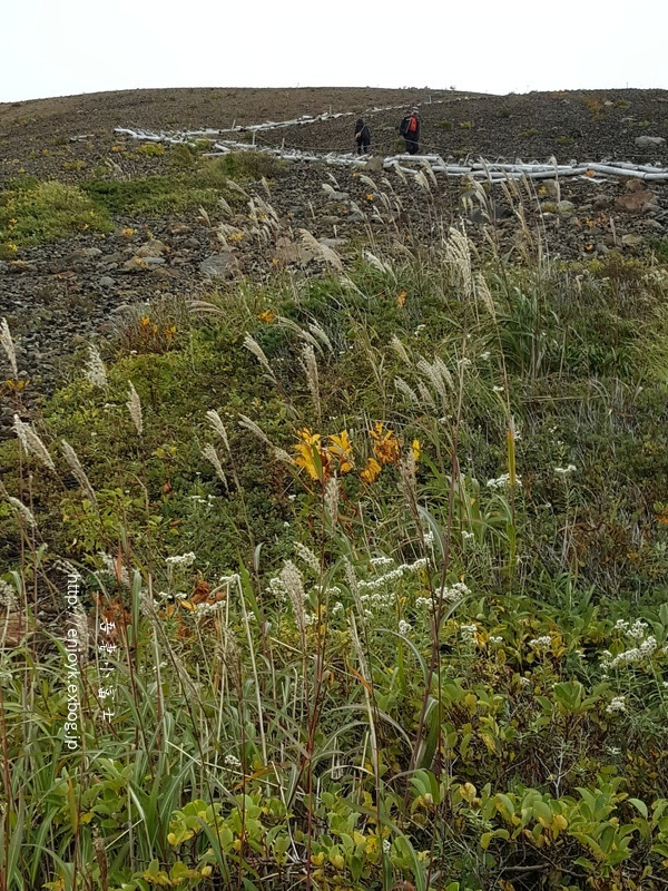 d0269832_09302480.jpeg