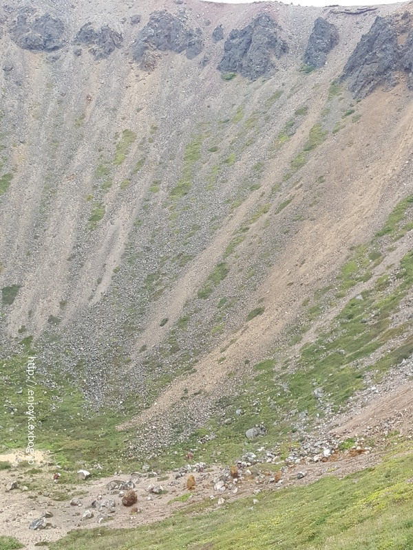 d0269832_09324177.jpeg