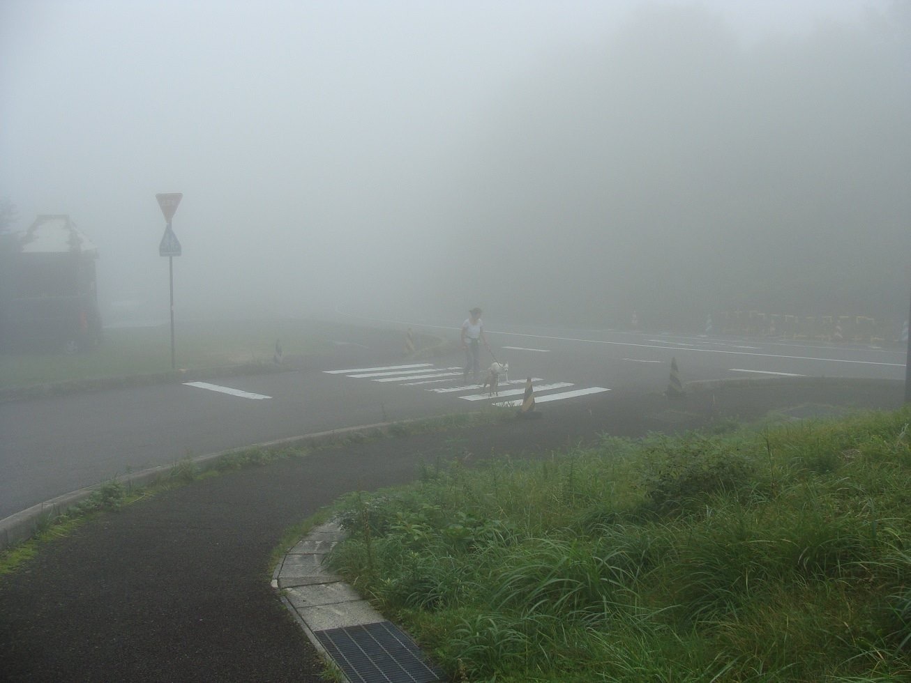 d0269832_09415140.jpeg