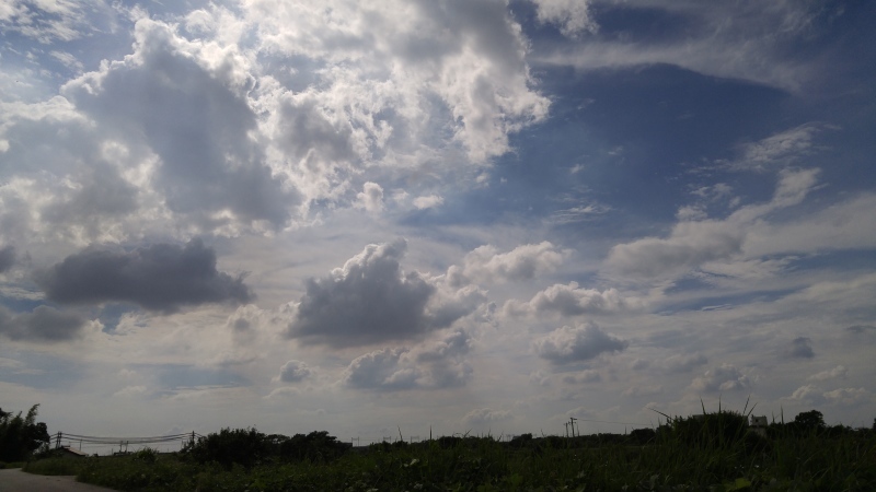 f0361132_13573070.jpg