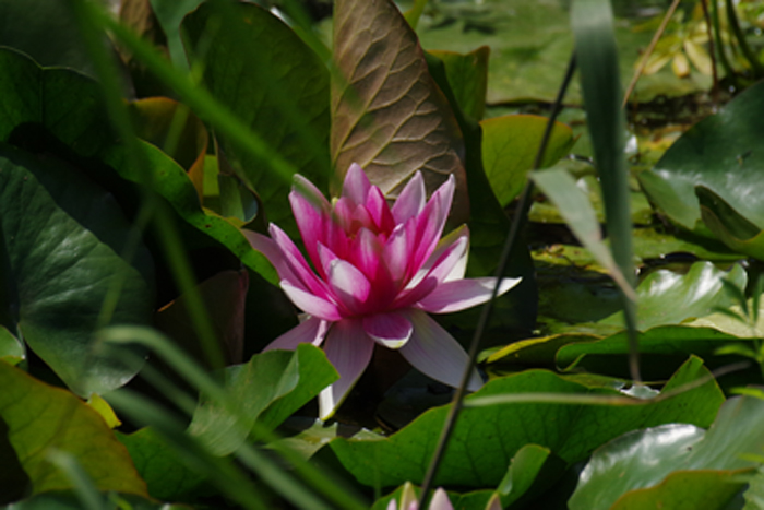 b0247838_17512186.jpg