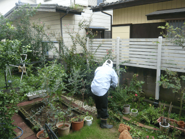 c0365341_20093657.gif
