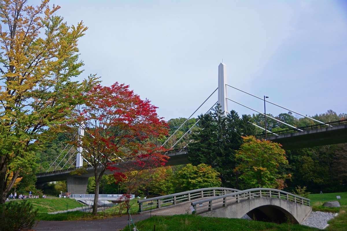 d0333958_19262358.jpg