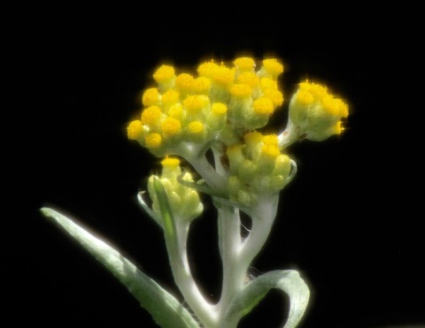 a0248459_16081146.jpg