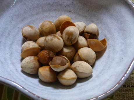 b0324461_15585133.jpg