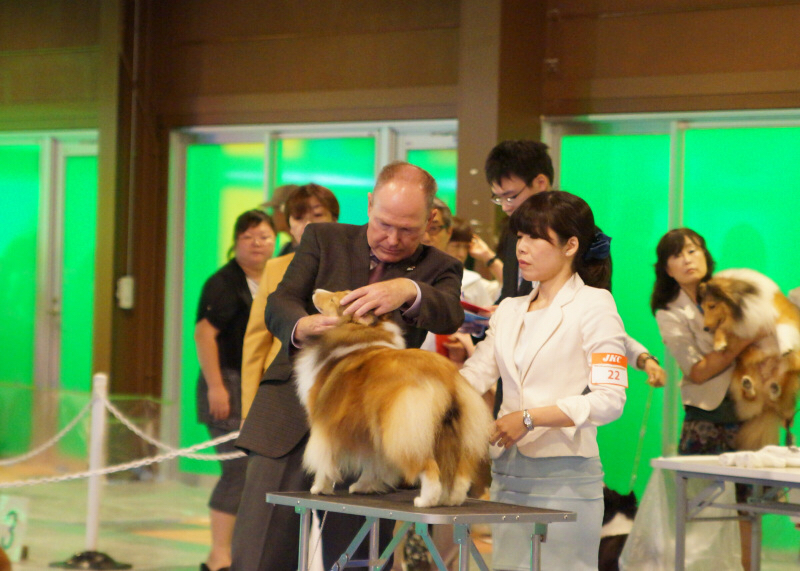 JKC茨城 ピーチ Queen_f0126965_15403790.jpg