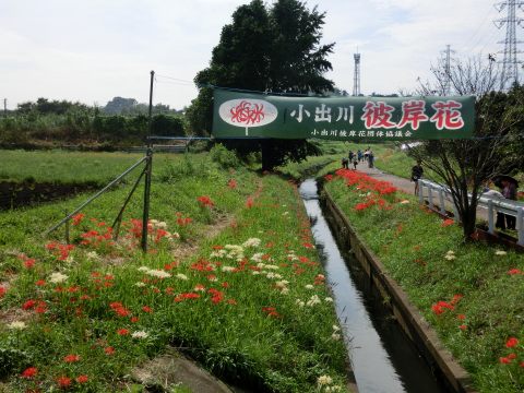e0045768_21504371.jpg