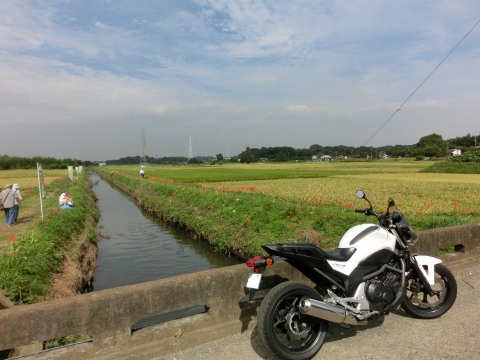 e0045768_2157614.jpg