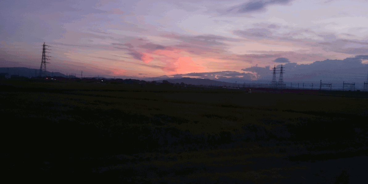 b0158170_21035704.gif