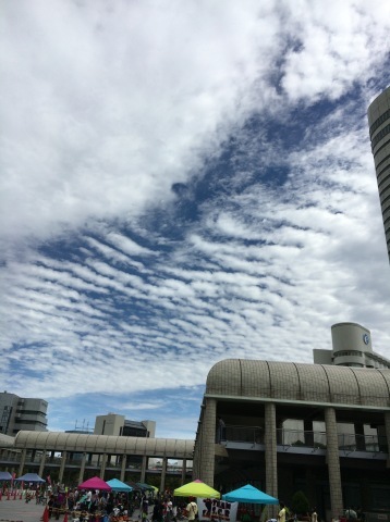 b0228973_22235214.jpeg