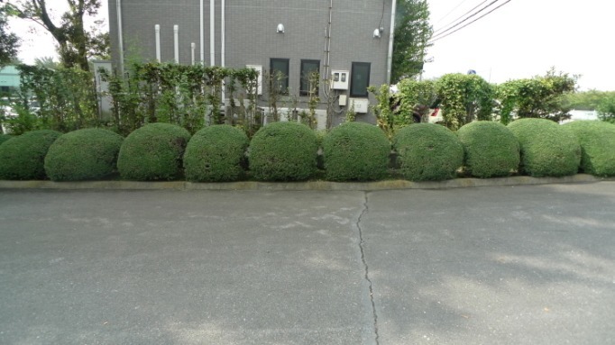 c0212083_16014771.jpg