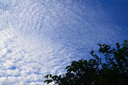 秋の高く青い空と雲_c0229483_1132554.jpg