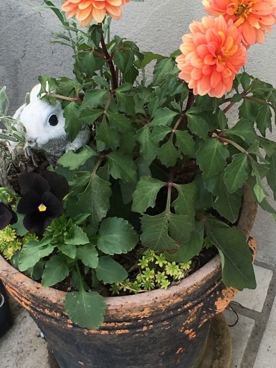 b0336787_21470363.jpeg