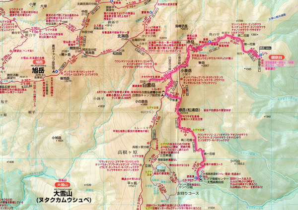大雪山に初登山 銀泉台から赤岳 白雲岳へ Road To Summit 目指せ百名山 大雪山に初登山 銀泉台から赤岳 白雲岳へ Road To Summit 目指せ百名山
