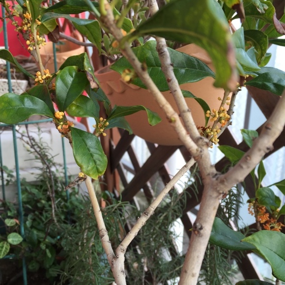 b0007895_07200076.jpeg
