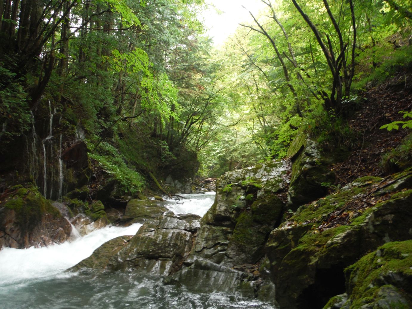 b0172805_10292356.jpg
