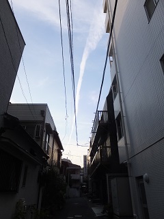 お土産な1週間。_f0238106_10384430.jpg