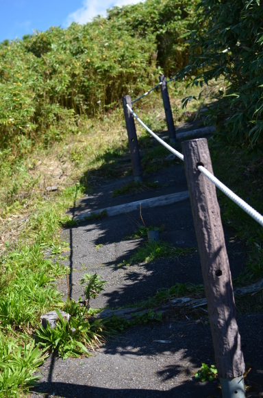 c0336907_21343196.jpg