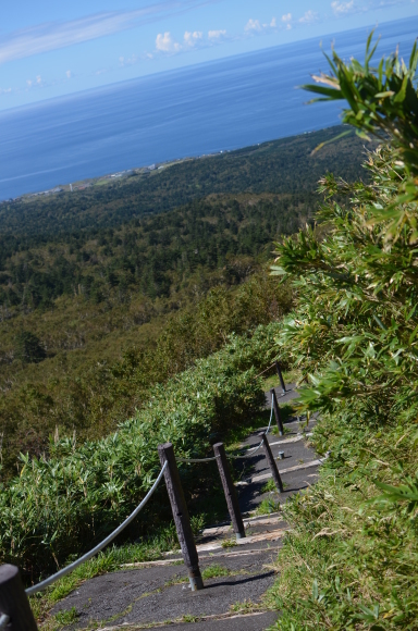 c0336907_21344476.jpg