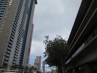 a0242019_9543520.jpg
