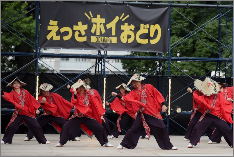 第18回　小田原えっさホイおどり　「伊澤屋」　神奈川県小田原市・_c0276323_11254511.jpg