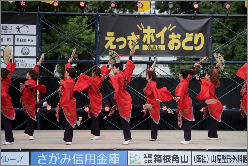 第18回　小田原えっさホイおどり　「伊澤屋」　神奈川県小田原市・_c0276323_11262361.jpg